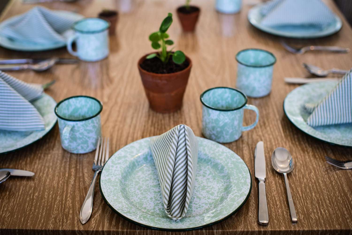 Table settings with houseplant