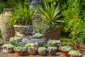Container garden