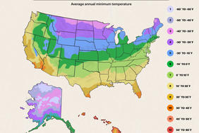 Map of USDA gardening zones showing average annual minimum temperatures across the United States labeled with zones