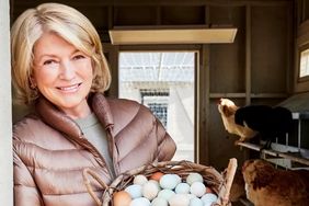 decorvow holding a basket of eggs in a henhouse with chickens in the background