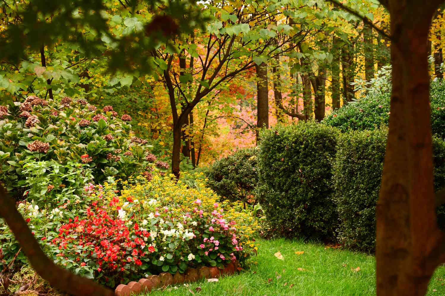 Fall garden