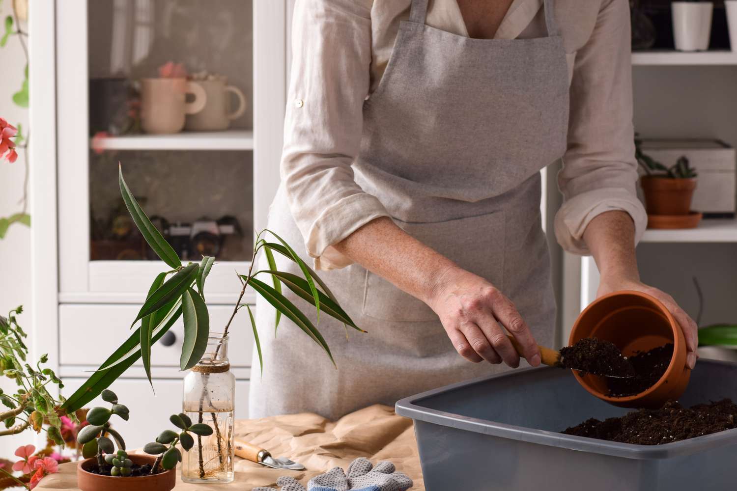 Person potting a plant at home preparing soil in a pot on a workspace with gardening tools and plants around