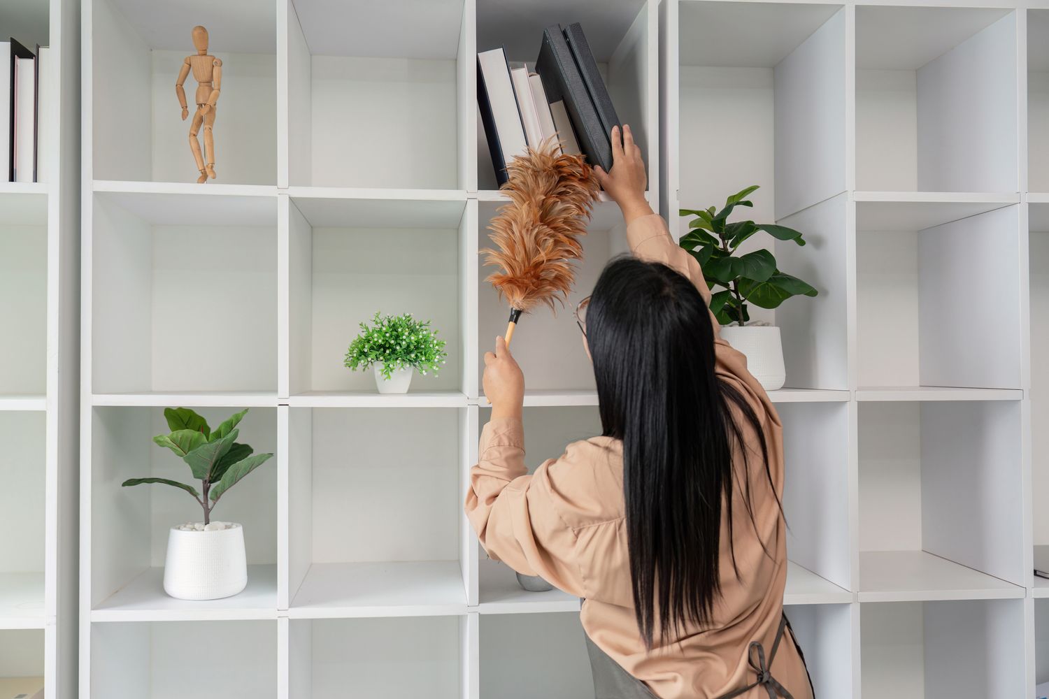 A person dusting a white shelf with a feather duster books and potted plants arranged on the shelves