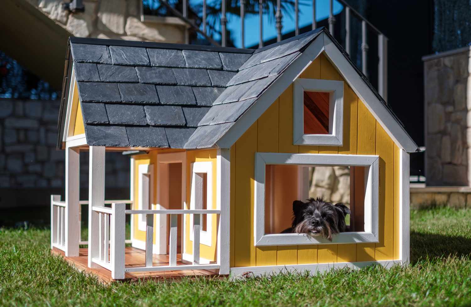A Yorkshire terrier in a yellow dog house