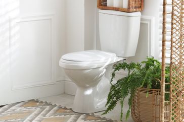 Bathroom featuring a toilet with decorative plants on the side