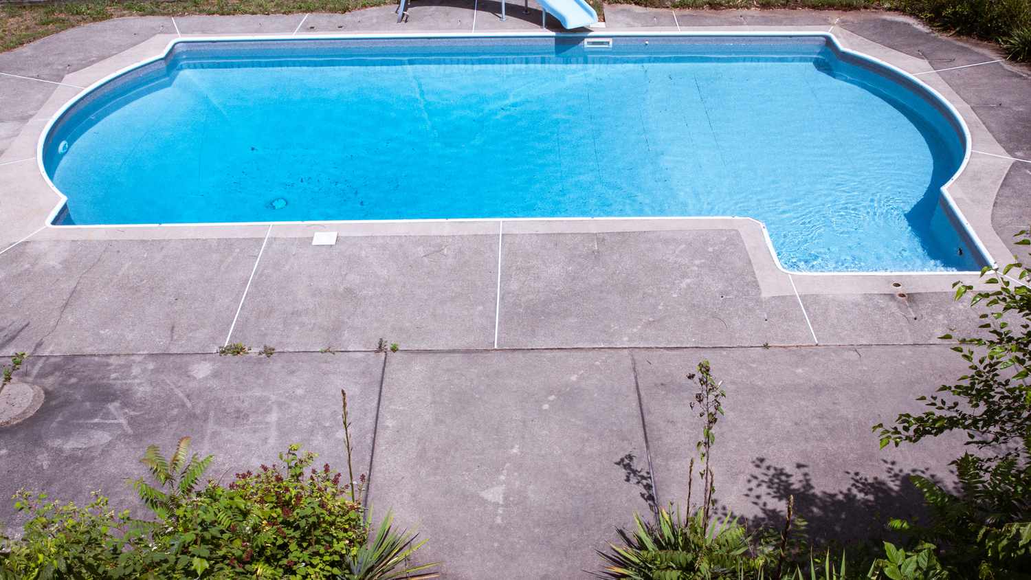 A swimming pool with a slide surrounded by a concrete deck and some vegetation at the foreground