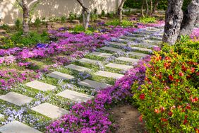 pavers ground cover pathway