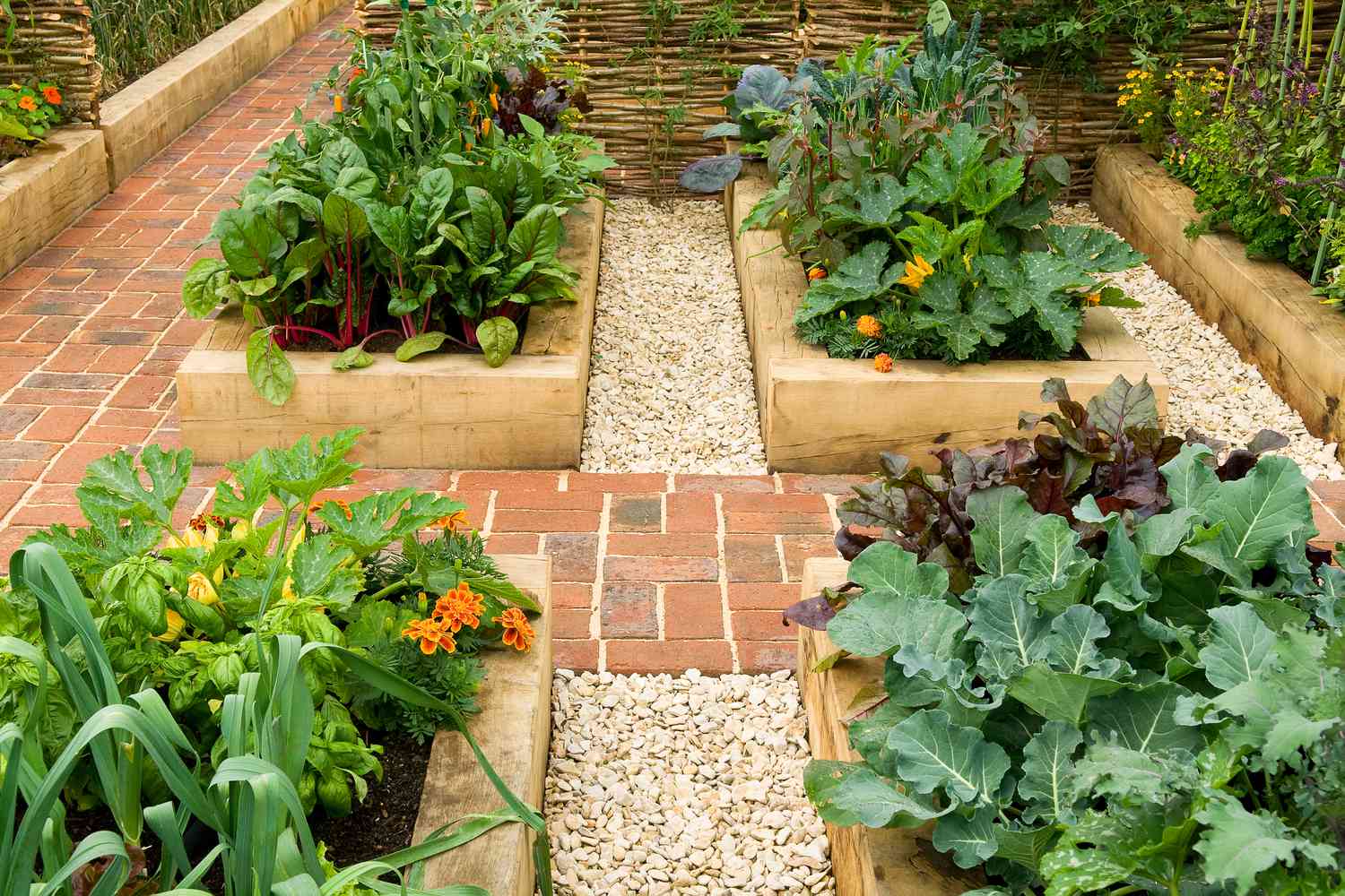 companion garden with flowers and vegetables
