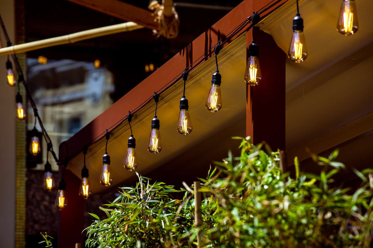 string of lights hung in backyard area in the summer