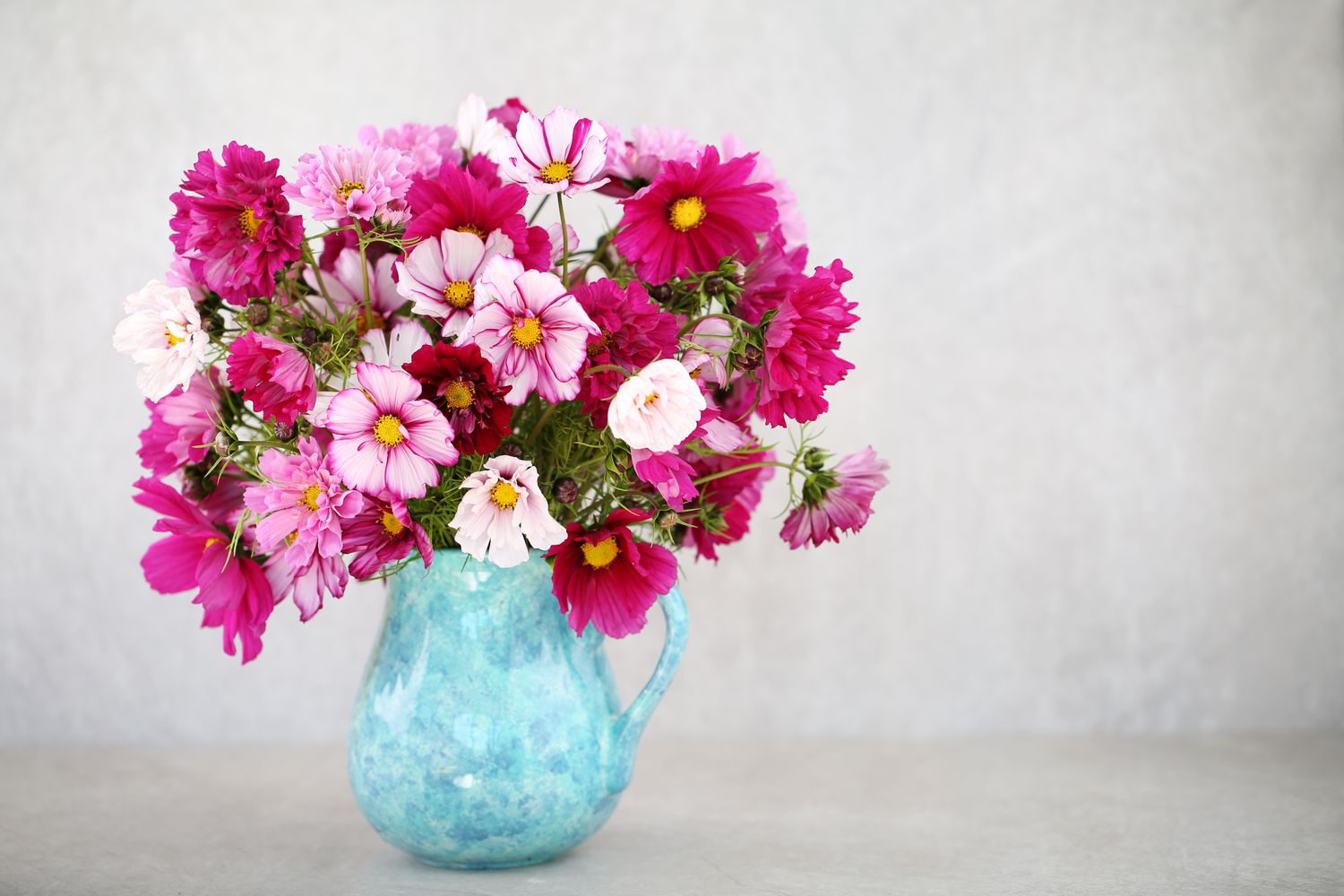 cosmos flowers in a vase