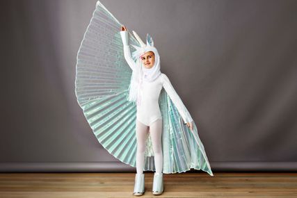 Pegasus kids costume