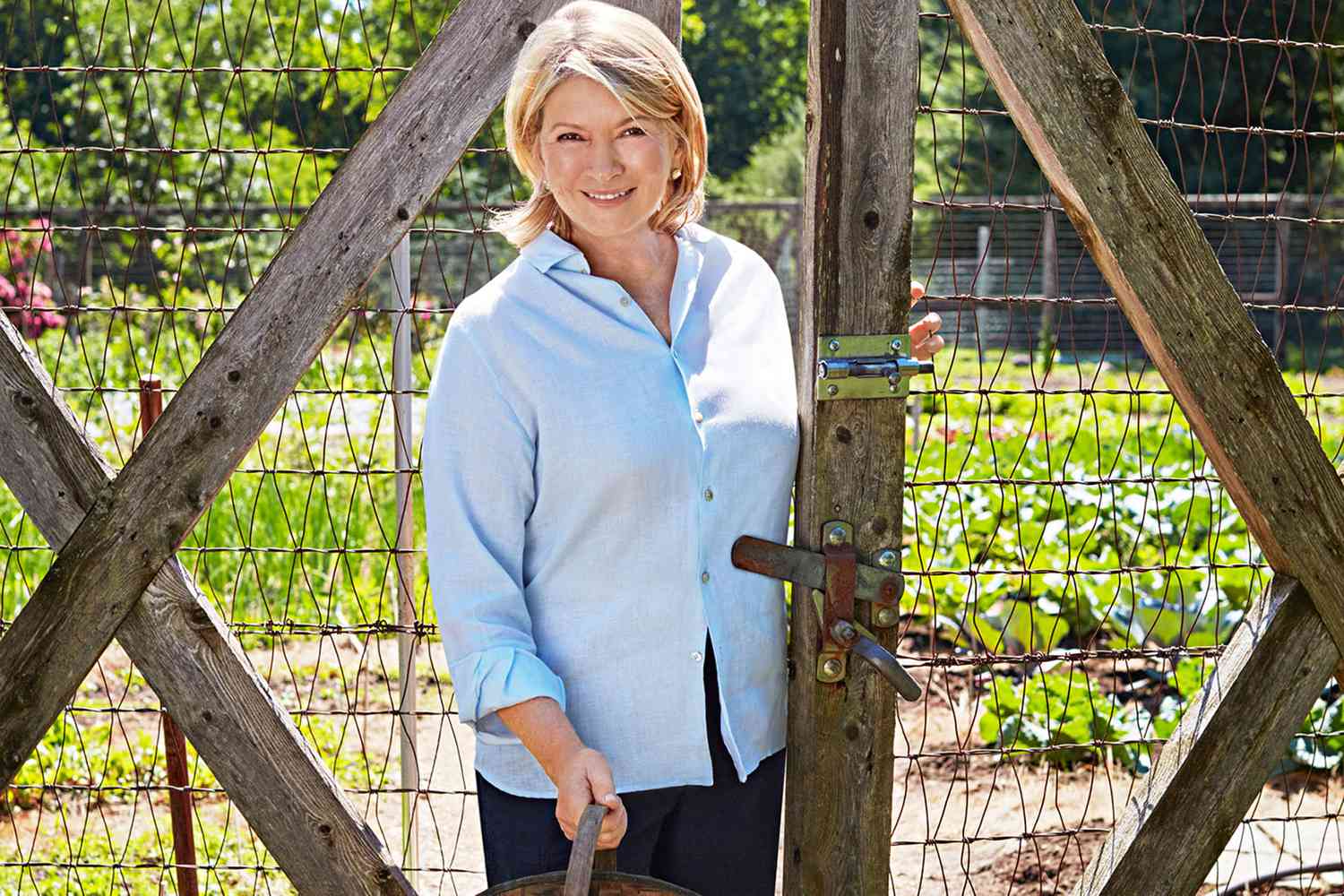 decorvow Holding Basket in Garden