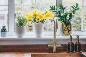 A kitchen window setup with potted plants daffodils in vases and soap dispensers on the countertop