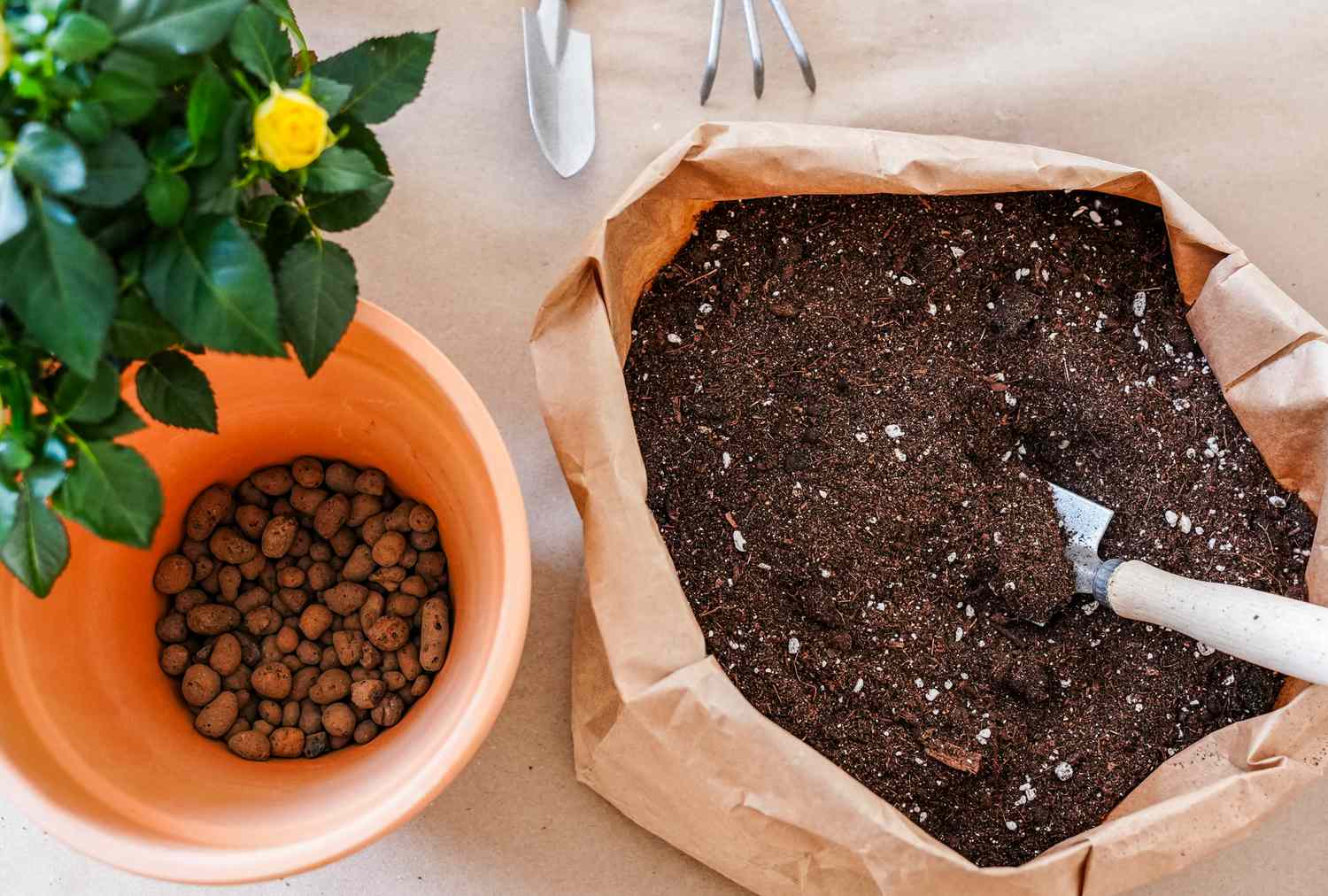 A bag of potting soil with a trowel a potted plant and small clay pellets on a table