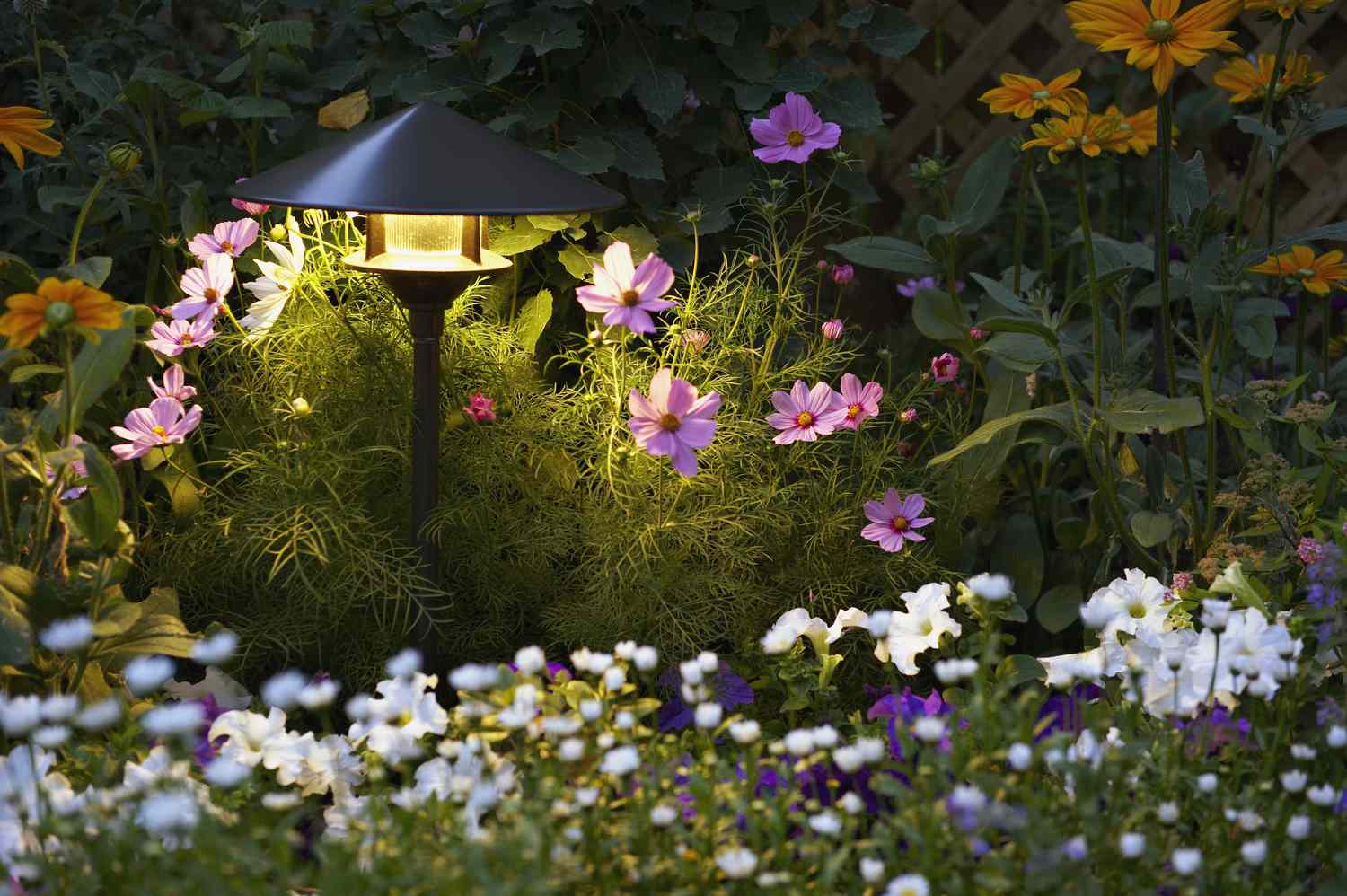 Garden path at night with light