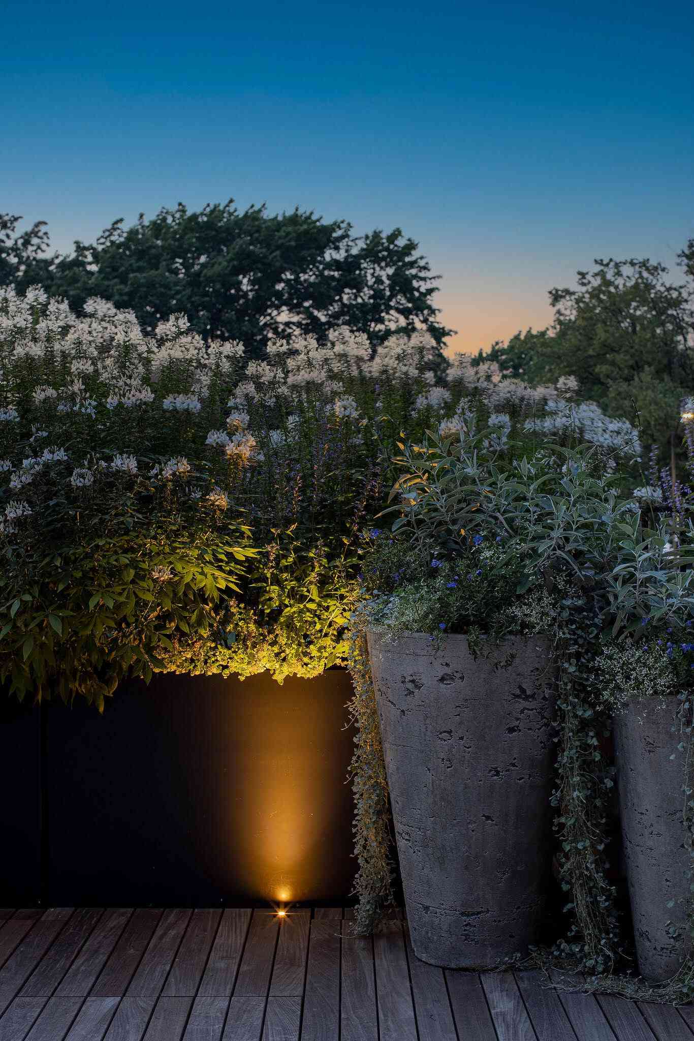Garden scene at night with warm lighting