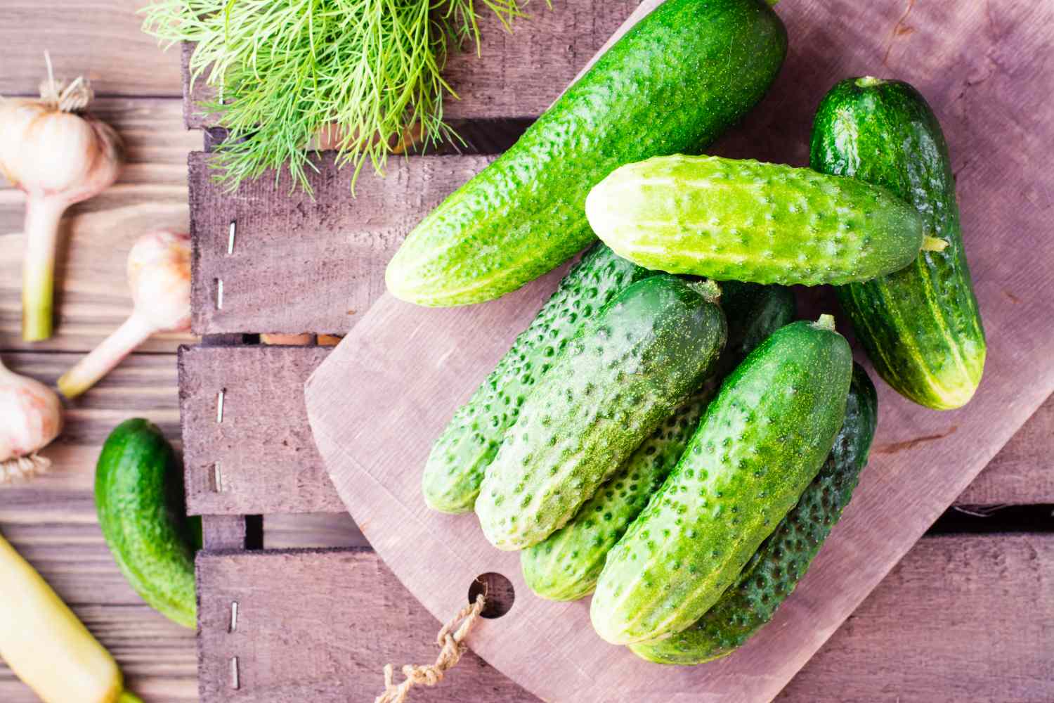 kirby cucumbers on wooden board with fresh dill and garlic