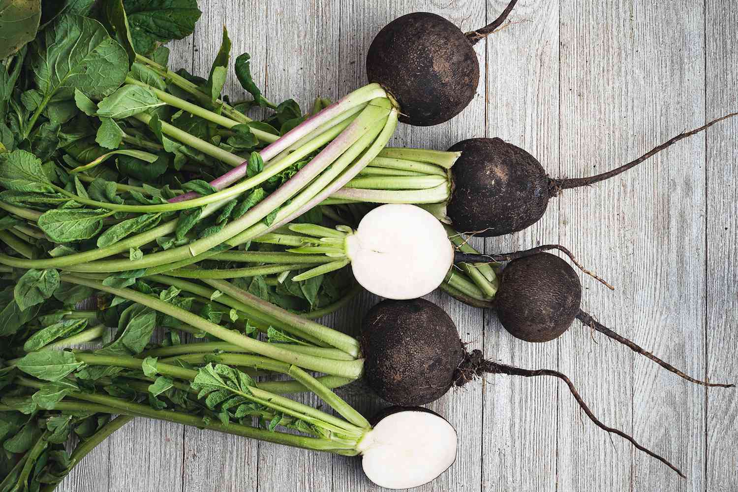 Black spanish radish
