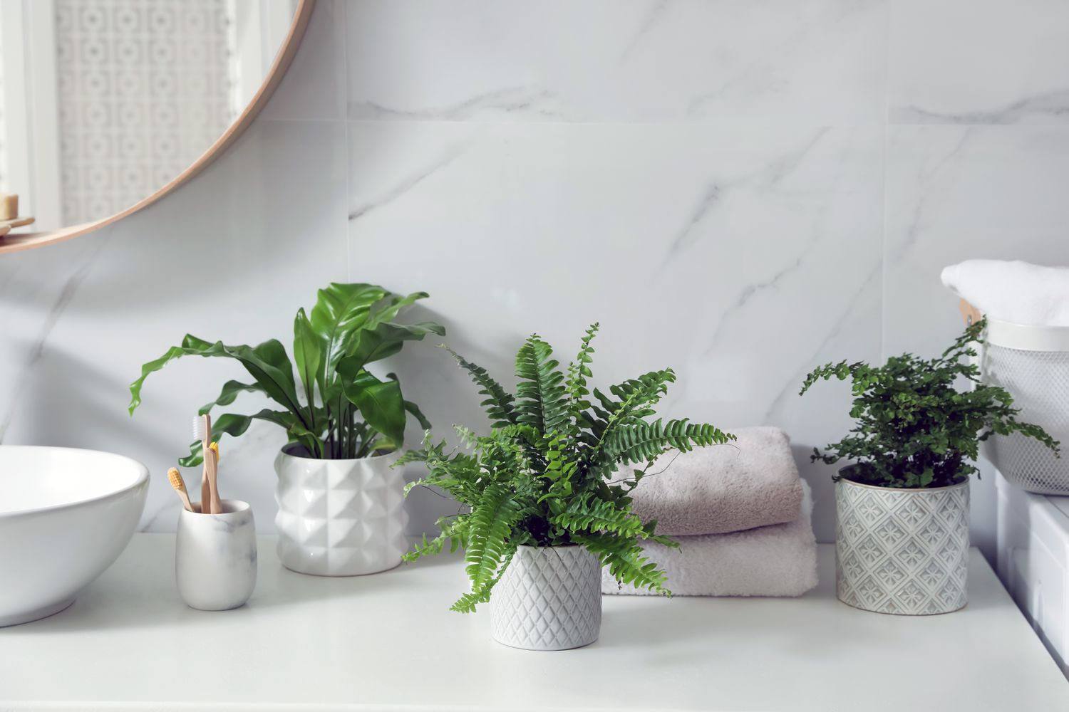 Beautiful green ferns, towels and toothbrushes on countertop in bathroom