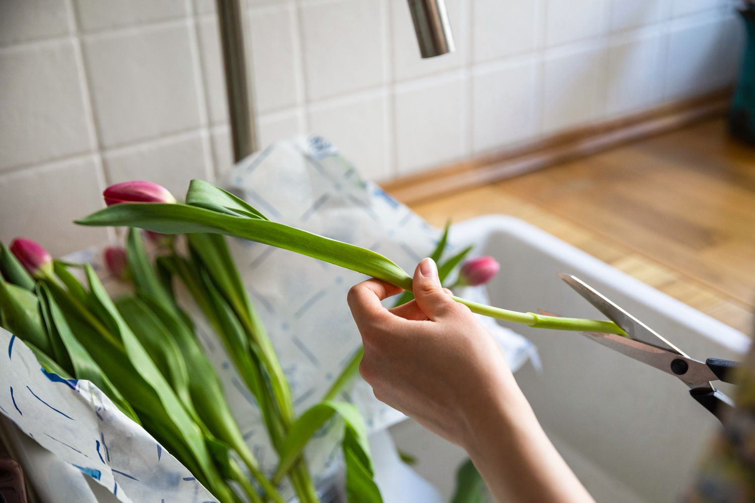 cutting flower stems