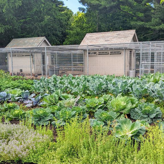 decorvow bedford vegetable garden