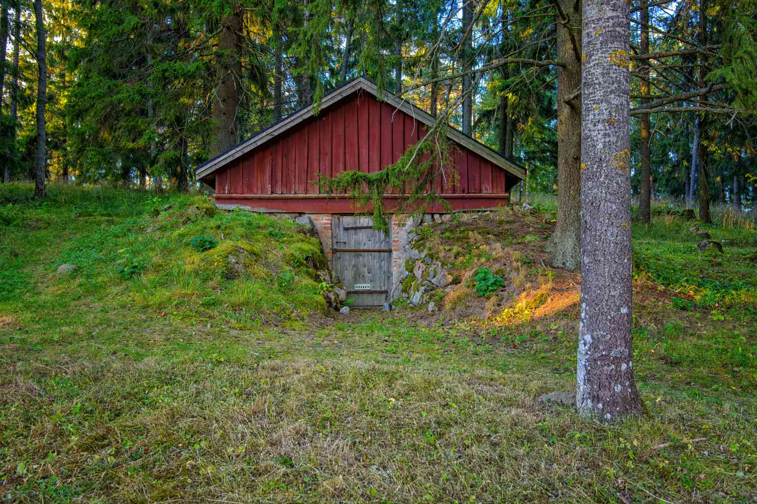 a red root cellar in the backyard