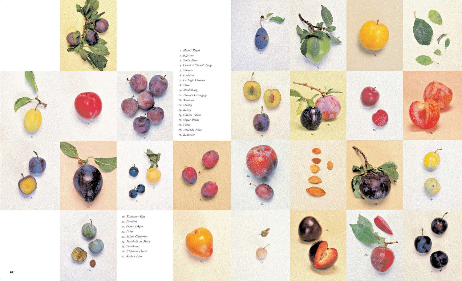 plum glossary