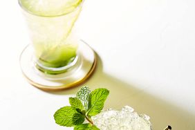 gin julep cocktails