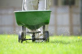 fertilizing lawn
