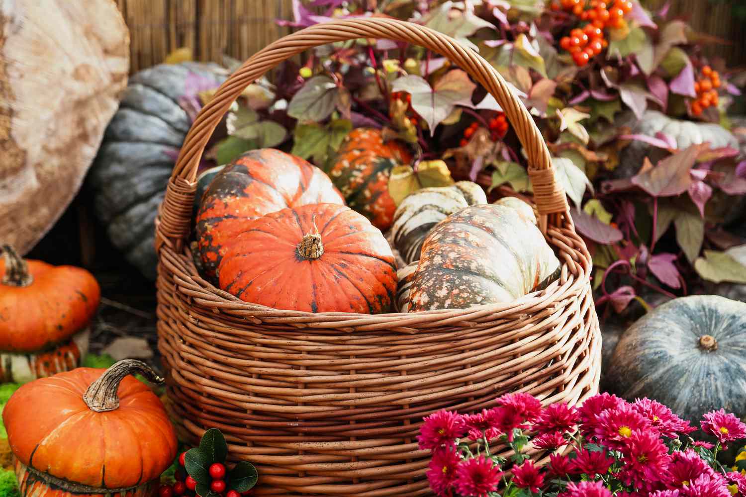 Basket of pumpkins