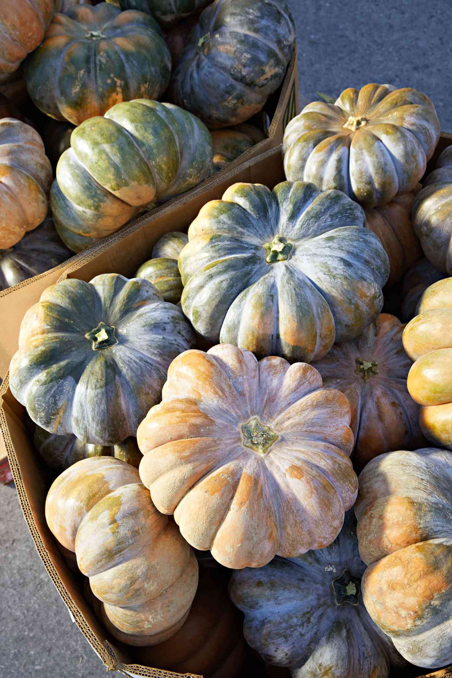 fairytale pumpkins