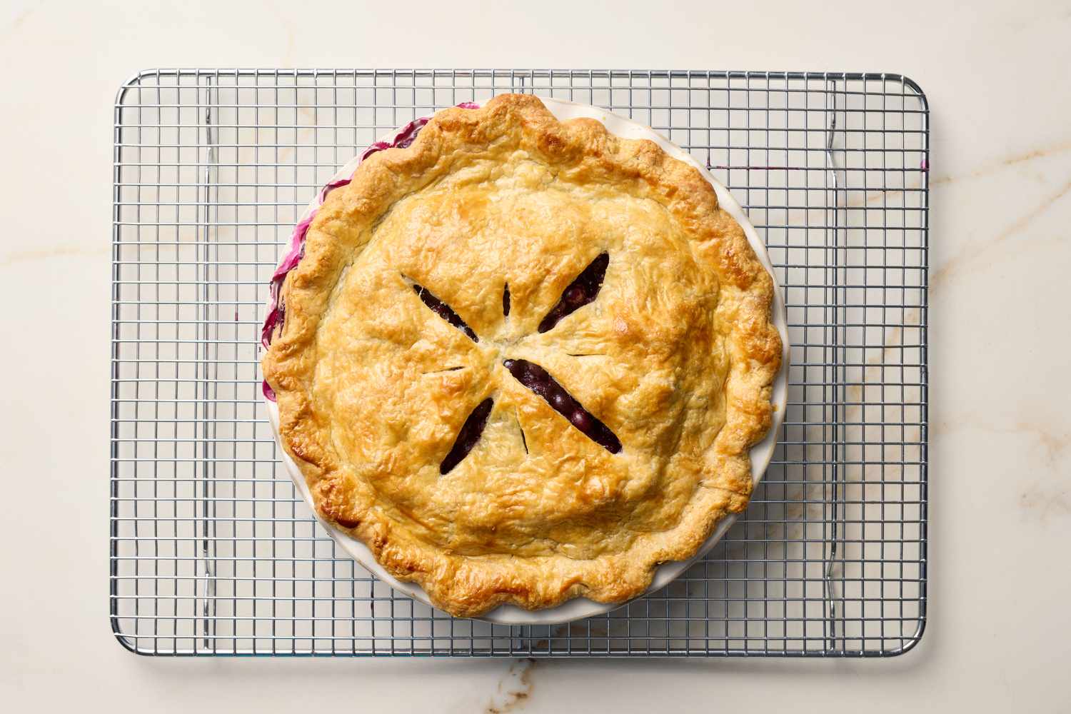 Freshly baked blueberry pie on a cooling rack