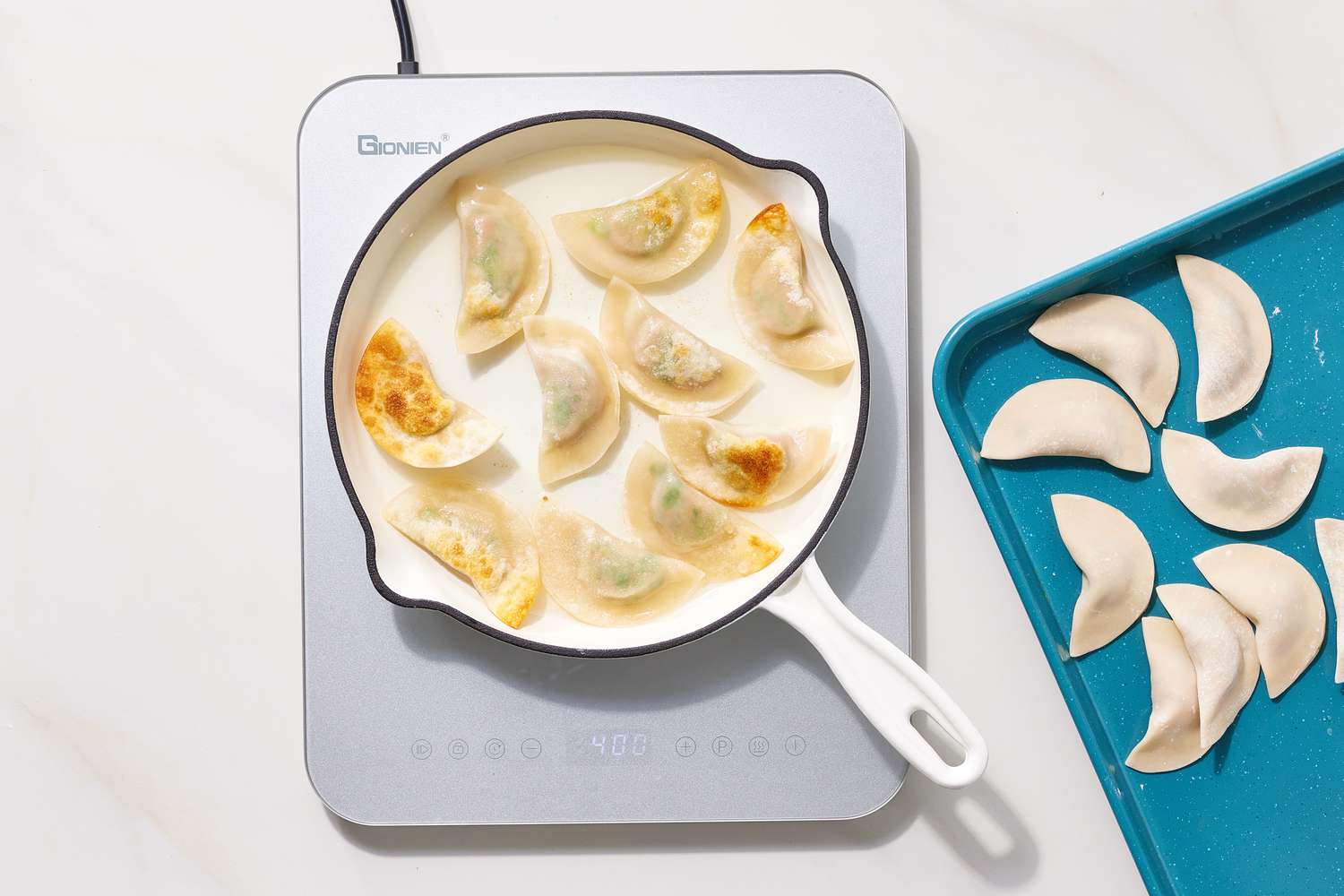 Pot Sticker Dumplings