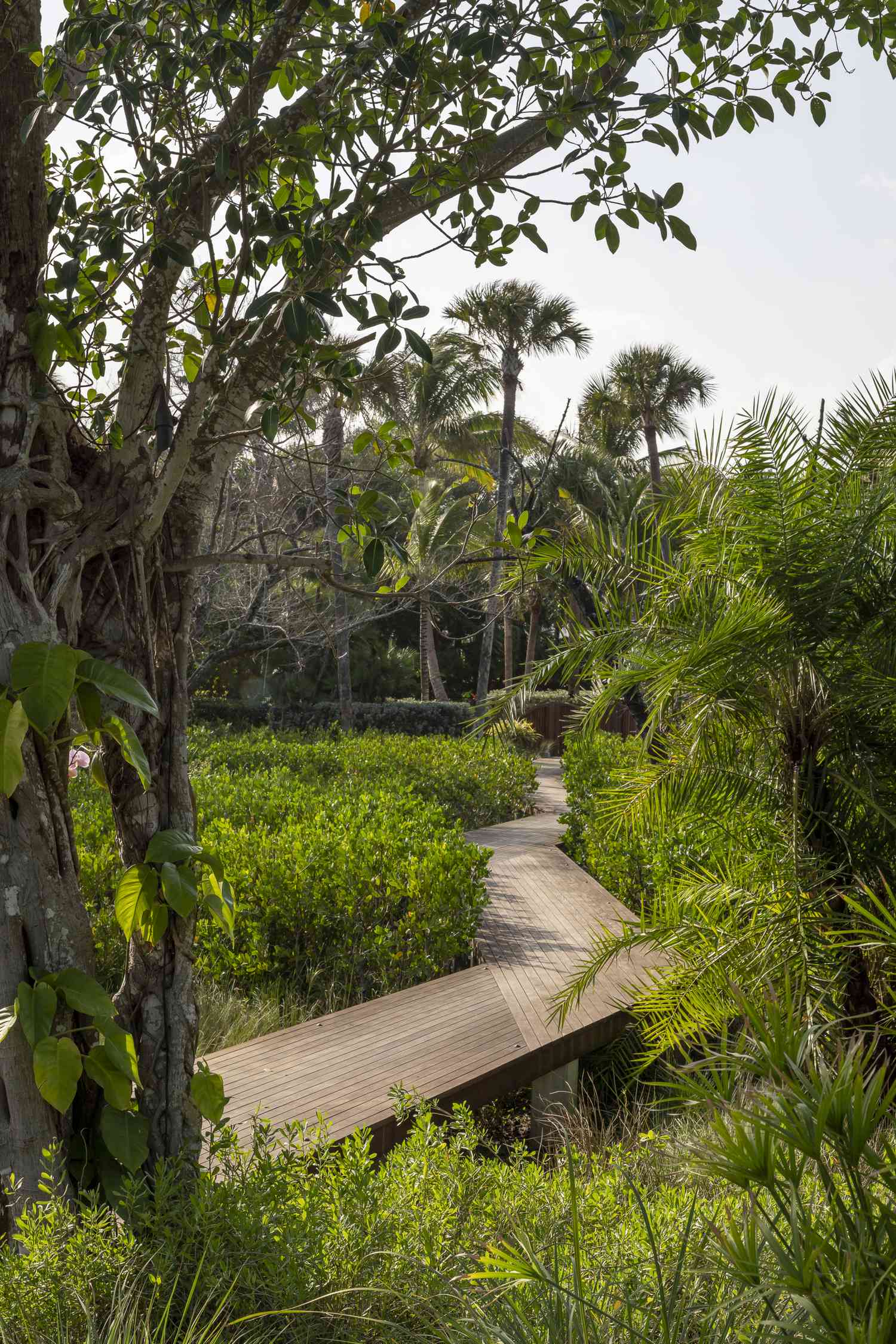 boardwalk garden path idea