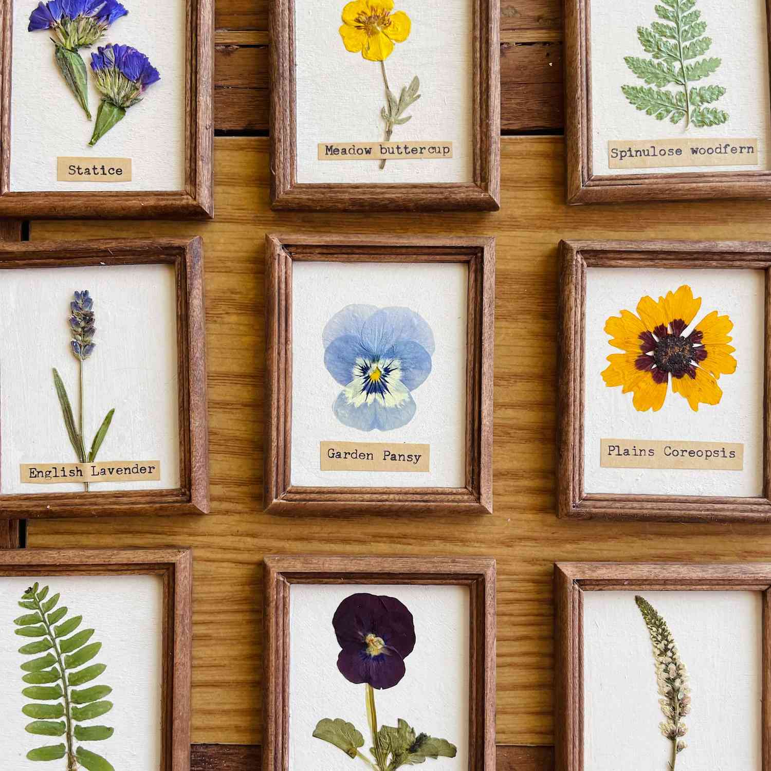 Tiny Herbarium Wood Framed Art