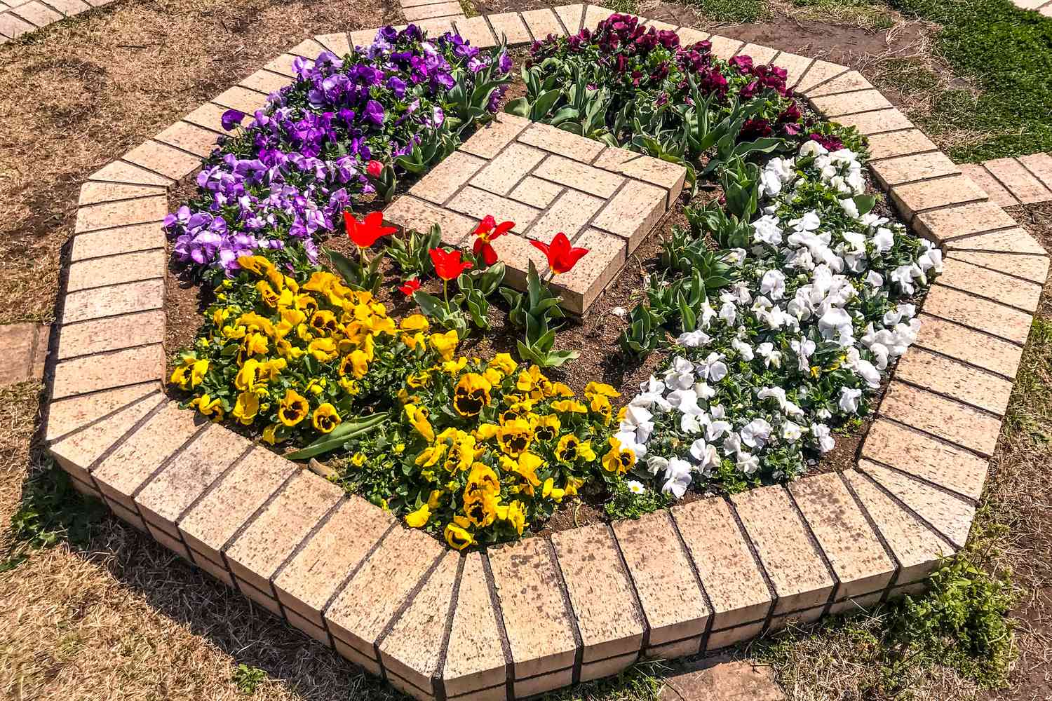 brick raised flower bed