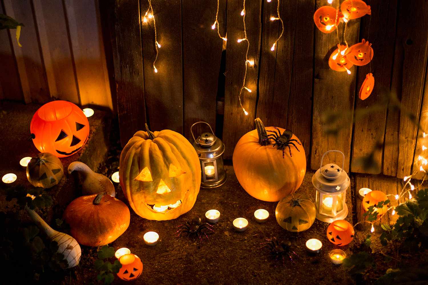 Halloween Lighting Decor 