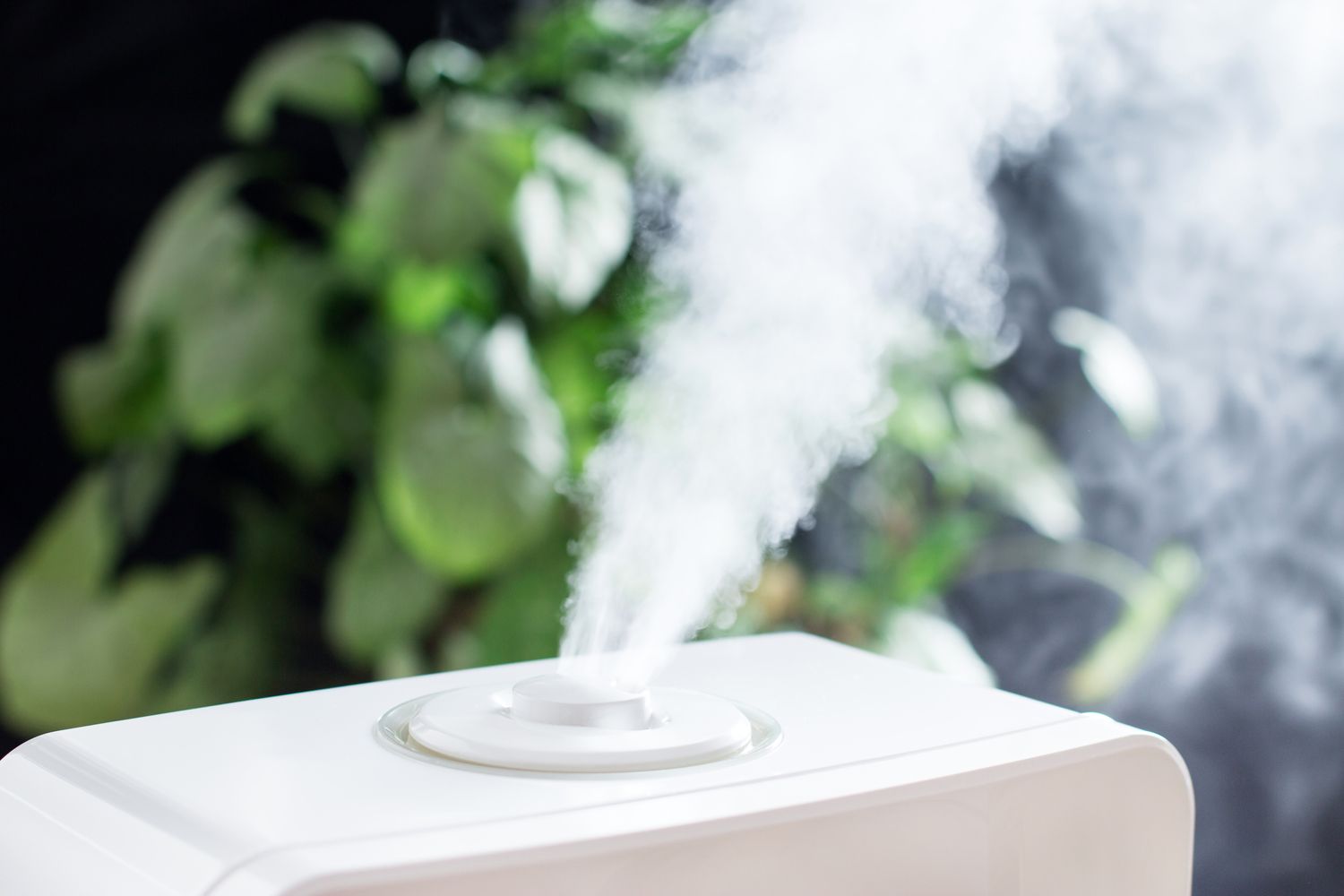 A humidifier emitting vapor with blurred foliage in the background