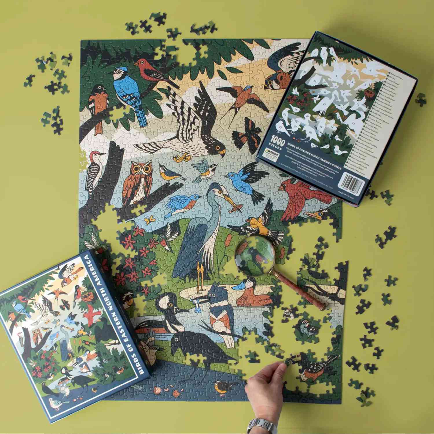overhead view of a bird puzzle and packaging