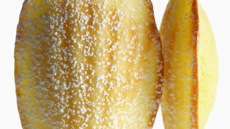 lemon madeleines