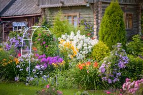 Flower garden