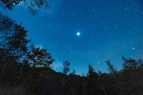 Bright planet visible in a starry night sky above a treeline