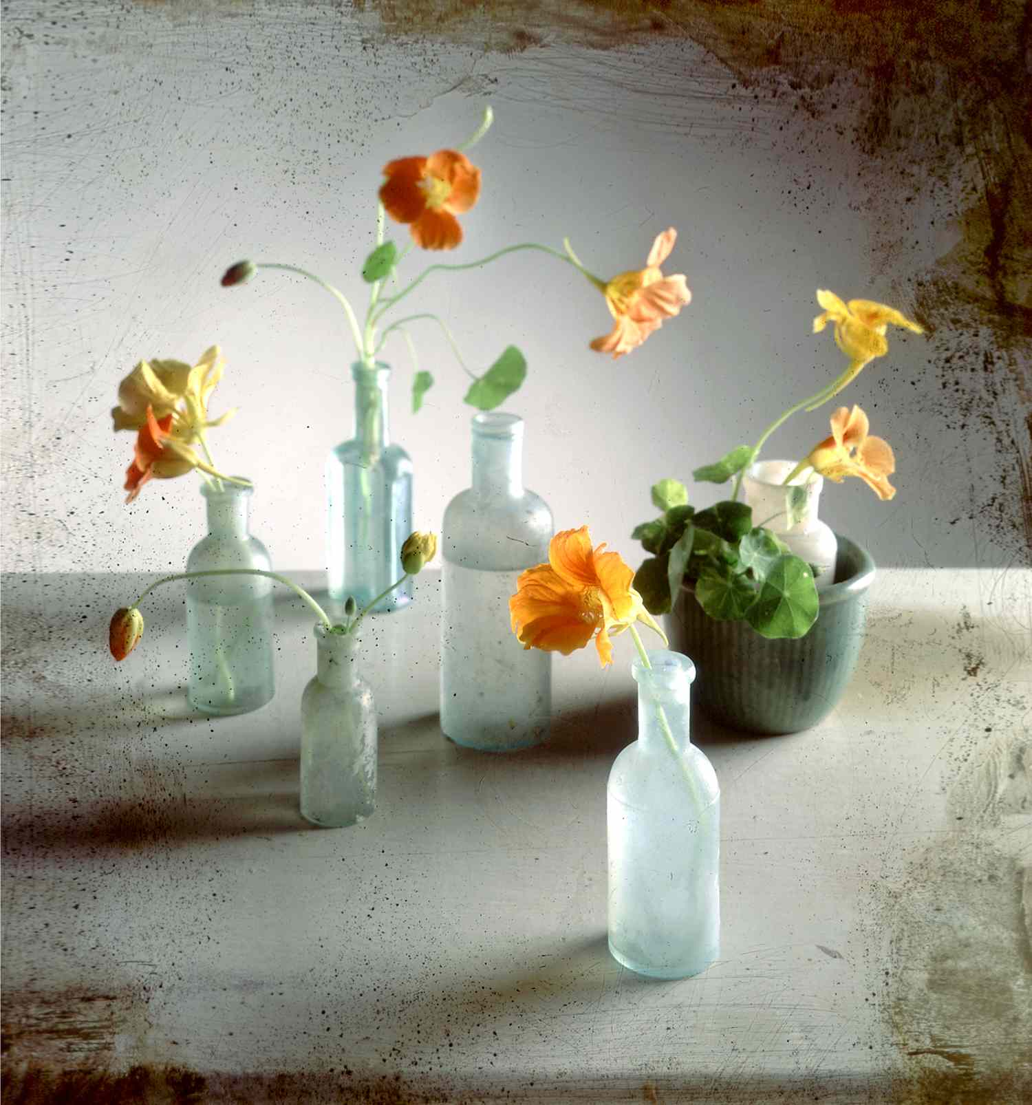 Arrangement of flowers in glass vases on a surface
