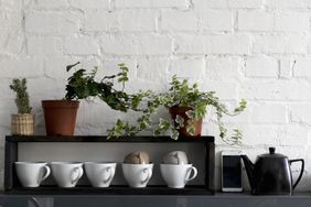 coffee cups on counter