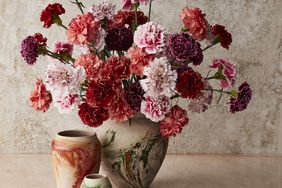 Arrangement of carnations in marbles vases