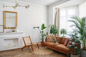 Modern living room with a sofa plants and decor