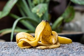 A banana peel on a textured surface with plants in the background