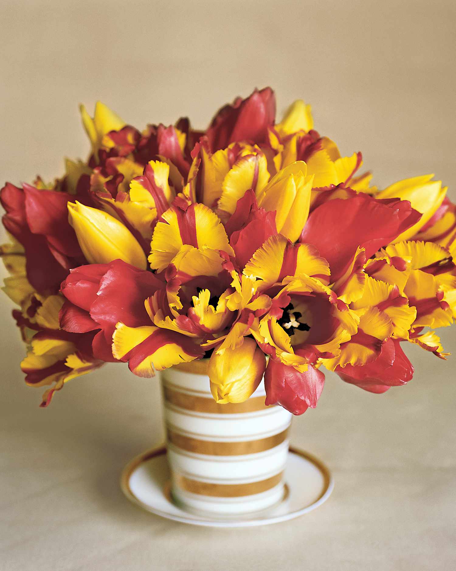 flower-arrangement-color-mxa105317.jpg