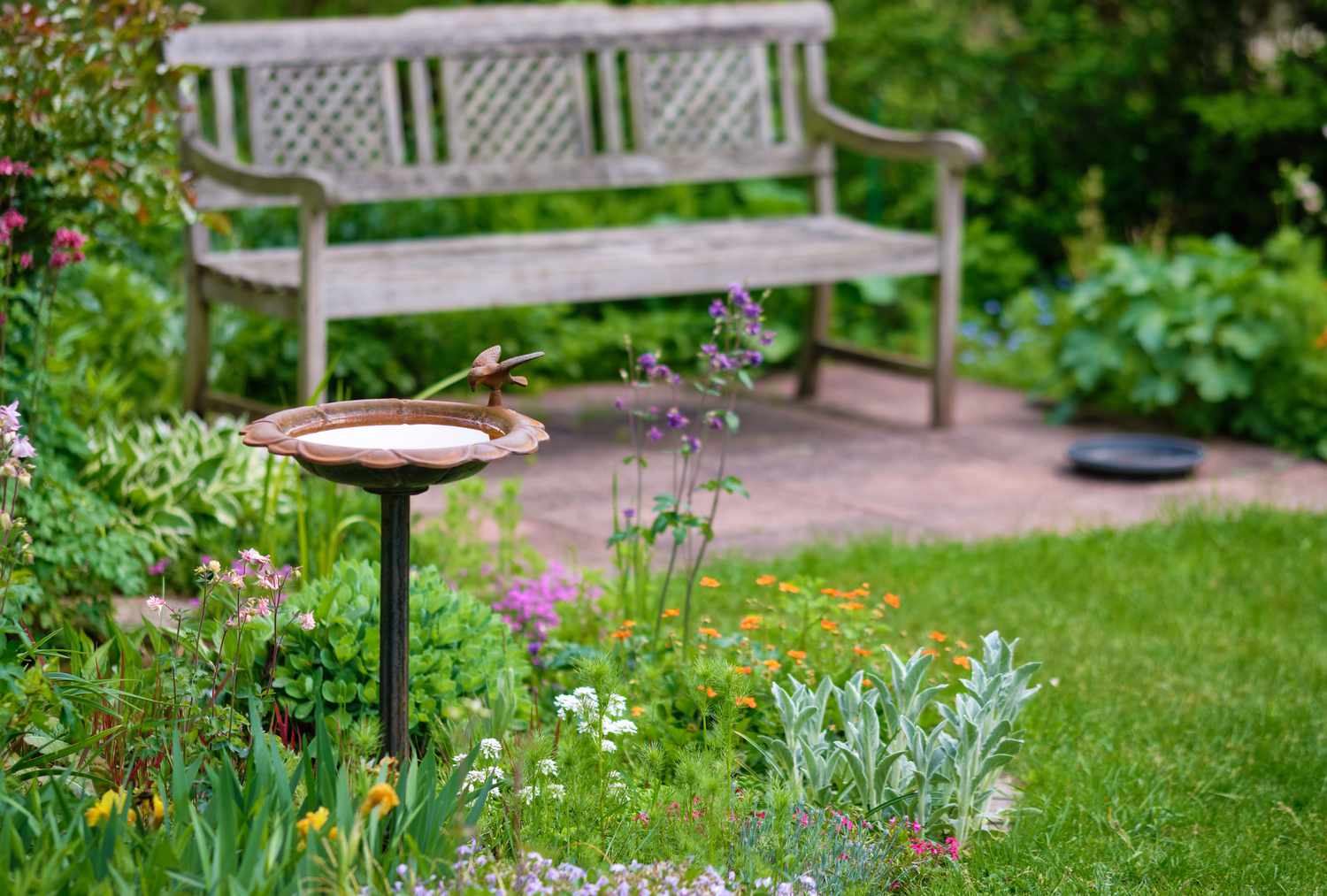 Garden with bench and birdbath