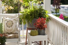 Front porch with a chair potted plants and a decorative pumpkin